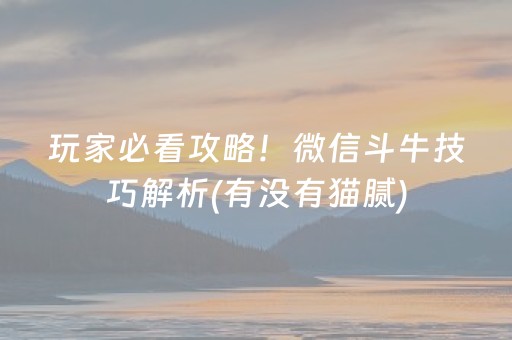 实测教程“麻将机免安装控牌器”（详细透视教程）-哔哩哔哩