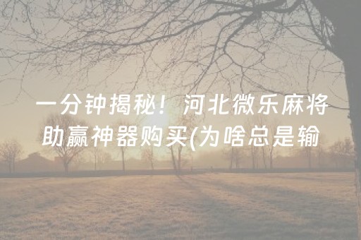 一分钟揭秘！河北微乐麻将助赢神器购买(为啥总是输)