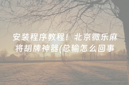 安装程序教程！北京微乐麻将胡牌神器(总输怎么回事)