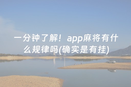 终于发现“九九山城麻将选牌器（专用辅牌神器免安装）