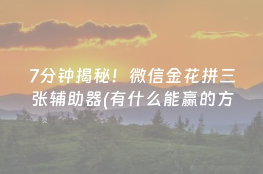 7分钟揭秘！微信金花拼三张辅助器(有什么能赢的方法)