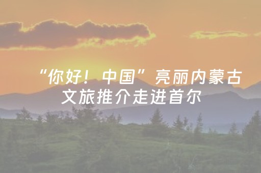 “你好！中国”亮丽内蒙古文旅推介走进首尔
