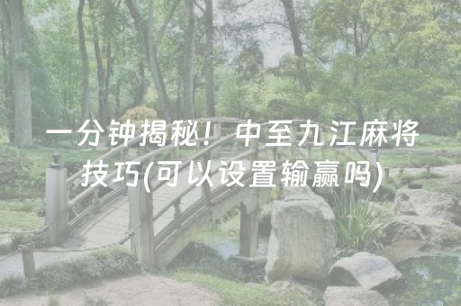 我来教大家“科乐天天踢辅助器（助赢神器通用版）