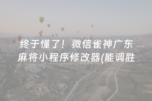 实测教程“微信扫雷技巧防止撞雷—我来教教你怎么开挂”（详细透视教程）-哔哩哔哩