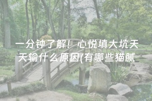 一分钟了解！心悦填大坑天天输什么原因(有哪些猫腻)