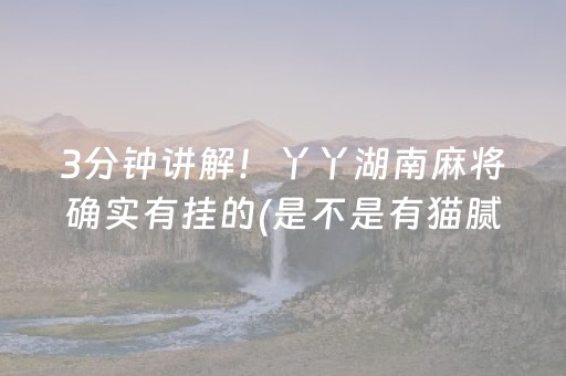 给玩家盘点十款“小程序微乐麻将万能开挂器”（AI辅助胡牌规则)