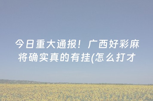三分钟了解“微乐陕西挖坑怎么提高胜率”（外辅工具)