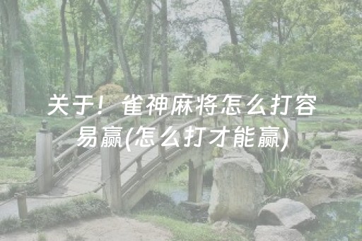 给玩家盘点十款“云南微乐麻将助赢神器购买”（软挂神器)