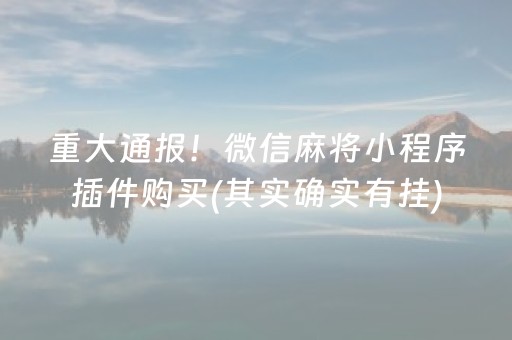 必备攻略“微乐锄大地插件购买”（有没有猫腻)