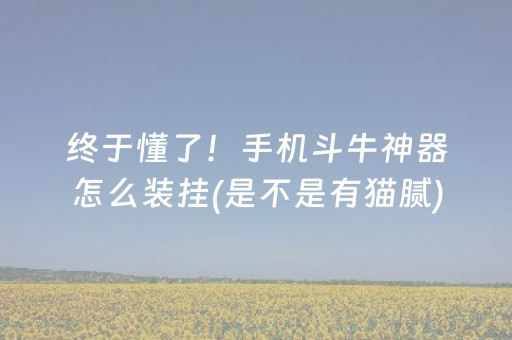 厉害了“小程序广东雀神麻将插件可信吗”（有什么规律)