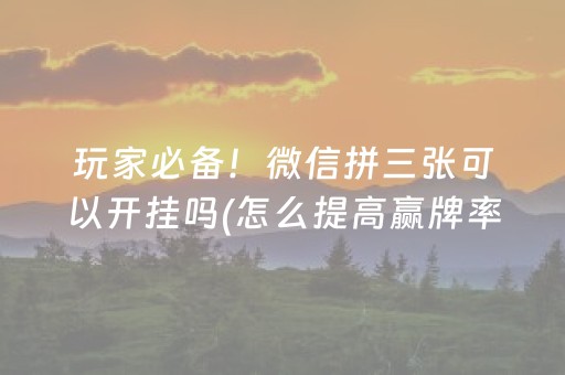 必备教程“微乐安徽麻将专用神器”（必赢神器辅助器)