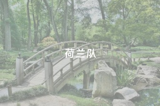 荷兰队（荷兰队球员名单）