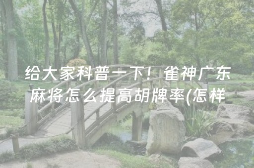 给大家科普一下！雀神广东麻将怎么提高胡牌率(怎样赢的几率大)