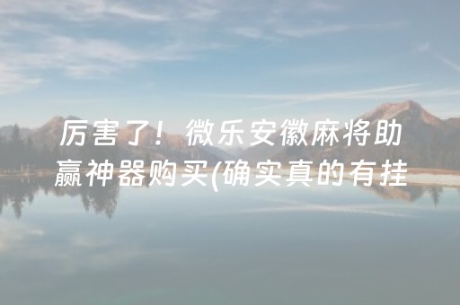 厉害了！微乐安徽麻将助赢神器购买(确实真的有挂)