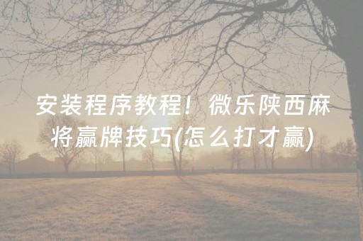 安装程序教程！微乐陕西麻将赢牌技巧(怎么打才赢)