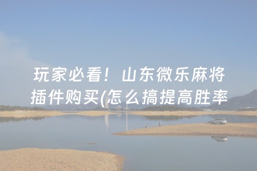 必备攻略“兴动麻将做弊器软件下载”（辅牌器插件购买)