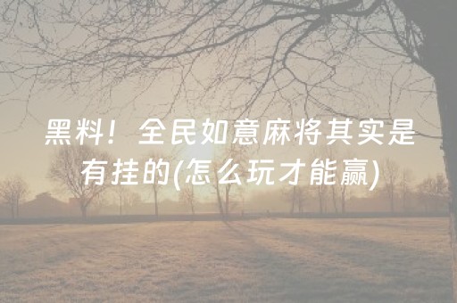 重大通报“微信麻将小游戏骗局大揭密”（开挂辅助插件)