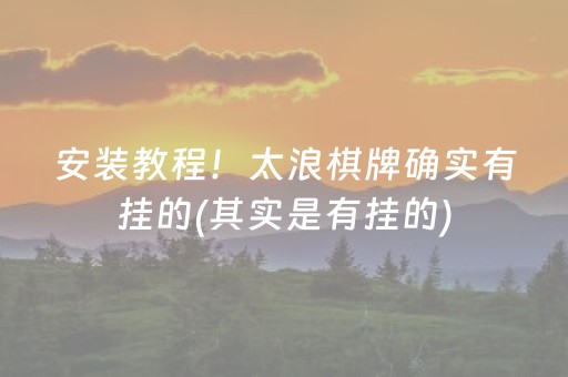 玩家必备教程“微乐陕西麻将专用神器”（怎么能调好牌)