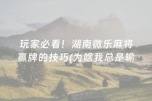 玩家必看！湖南微乐麻将赢牌的技巧(为啥我总是输)