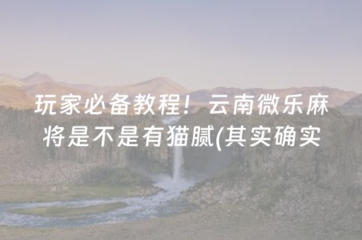 玩家必备“微乐宁夏麻将助赢神器”（输赢跟id号有关系吗)