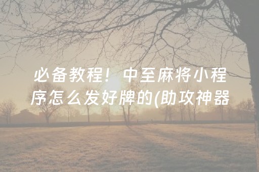一分钟了解“微乐广东麻将助赢神器购买”（充会员胜率高)