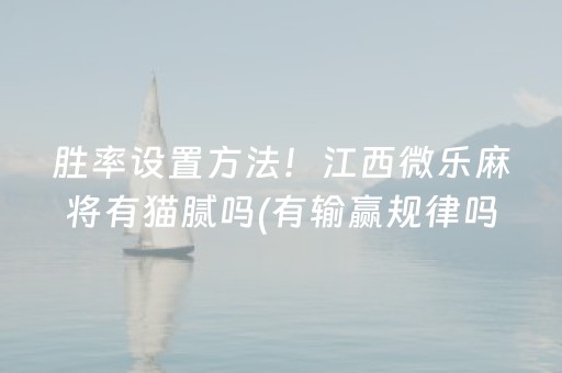 安装程序教程“填大坑辅助器免费版”（究竟是不是有挂)