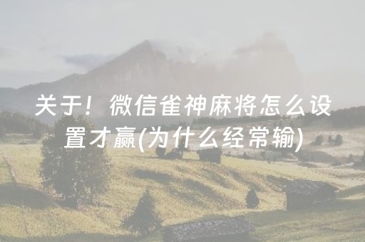 介绍十款“微乐湖南麻将输赢规律”（专用神器)