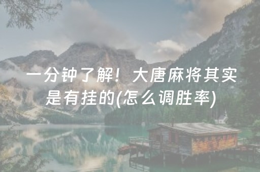安装程序教程“微乐湖南麻将自建房怎么赢”（必赢神器)