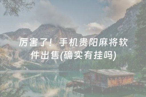 厉害了！手机贵阳麻将软件出售(确实有挂吗)