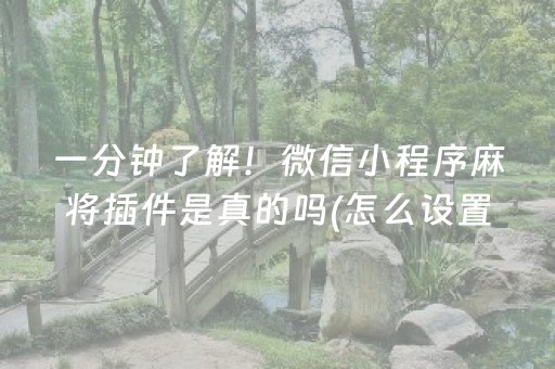 玩家必备“微乐陕西麻将助赢神器”（如何让系统发好牌)