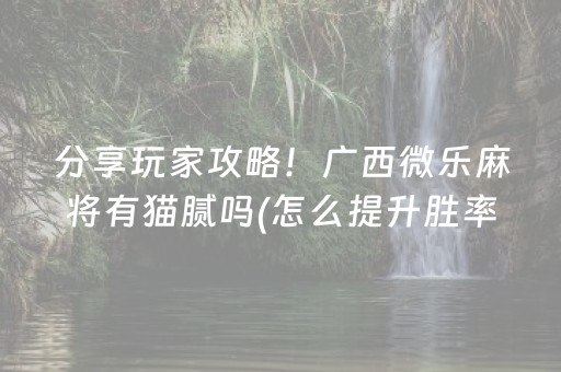 三分钟了解“微乐陕西麻将专用神器”（助赢神器购买)