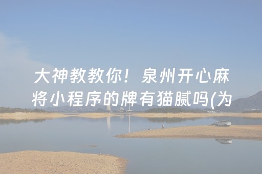 给玩家盘点十款“微信小程序打麻将开挂辅助器”（攻略插件)
