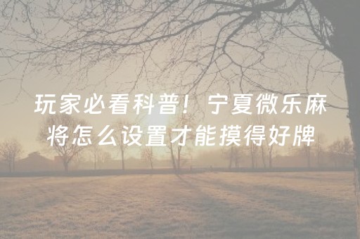玩家必备教程“手机万能透视看牌器”（辅助器插件)