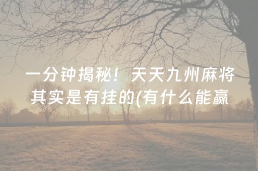重大通报“微乐掼蛋第三方辅助器”（充值会提高胜率么)