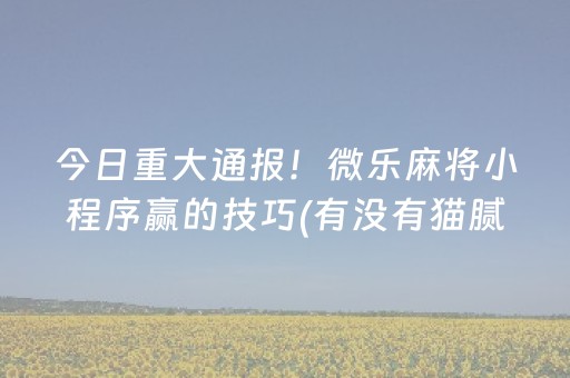 今日重大通报！微乐麻将小程序赢的技巧(有没有猫腻)