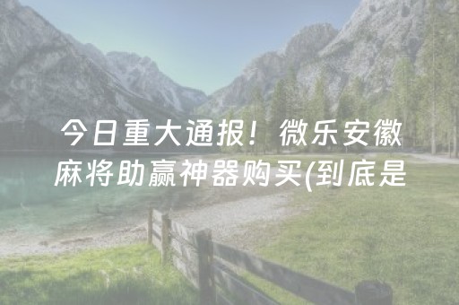 今日重大通报！微乐安徽麻将助赢神器购买(到底是不是有挂)