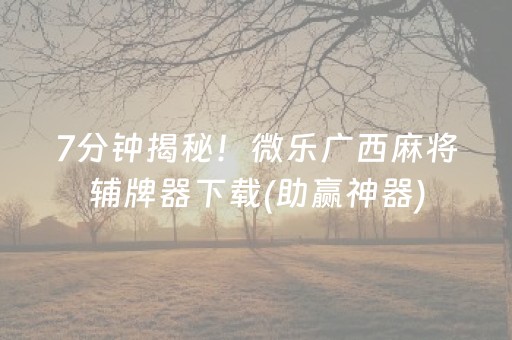 2分钟秒懂“微乐湖南麻将怎么让系统发好牌”（专用神器)