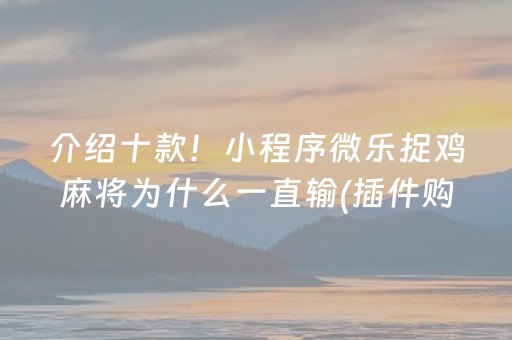 玩家必备攻略“财神十三张辅助工具有挂”（辅助器插件)