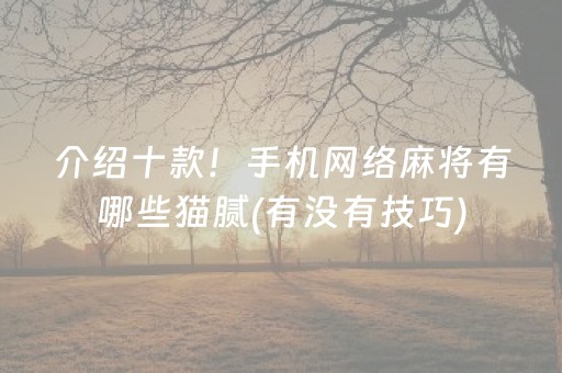 给玩家盘点十款“微乐湖南麻将如何让系统发好牌”（万能开挂神器)