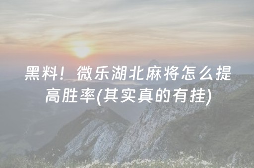 2分钟秒懂“微信小程序财神十三张胜率辅助器”（是否能开挂)