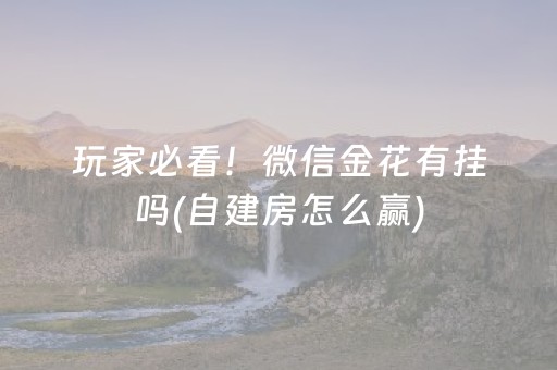 分享玩家攻略“微乐河北麻将自建房输赢规律”（怎么能得到好牌)