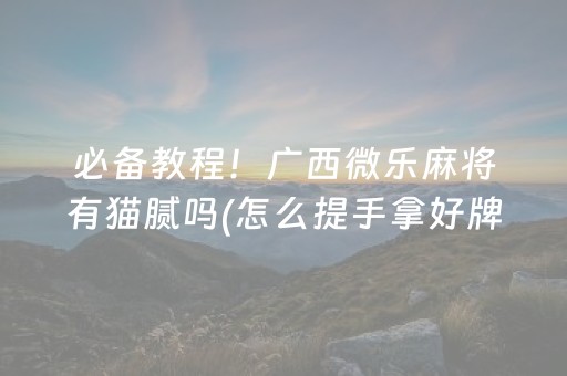 必备教程！广西微乐麻将有猫腻吗(怎么提手拿好牌)