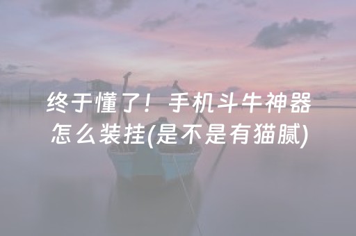 3分钟讲解“微信指尖跑得快小程序辅助器”（怎么让系统给你发好牌)