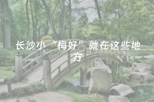 终于懂了“微乐保皇自建房怎么拿好牌”（做弊器软件下载)