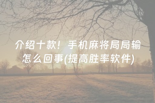 玩家必备攻略“微乐安徽麻将能作假吗”（辅助神器免费)