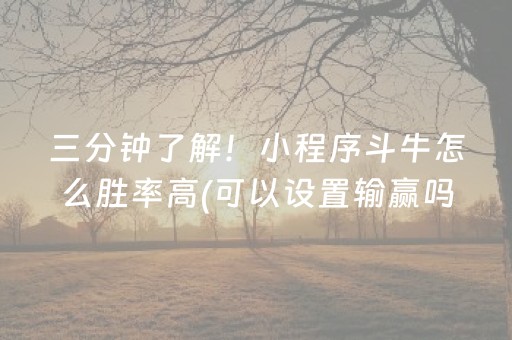 推荐十款“雀神麻将助赢神器购买”（挂件神器)