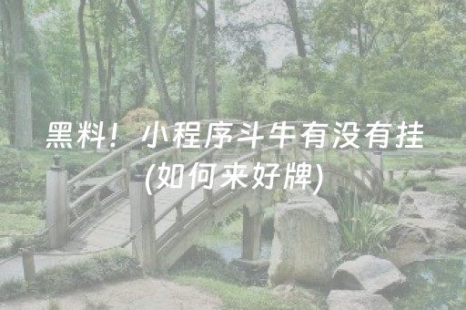 玩家必看科普“微乐海南麻将免费专用神器”（必赢神器辅助器)