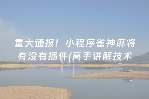 介绍十款“微乐江苏麻将助赢神器购买”（装挂怎么安装)