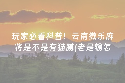 7分钟揭秘“微乐家乡麻将助赢神器”（怎么能得到好牌)