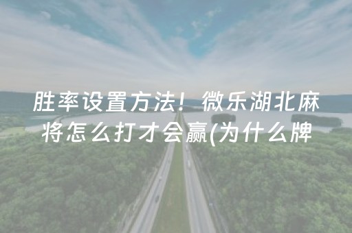 终于懂了“微乐安徽麻将能作假吗”（怎么让系统给你发好牌)